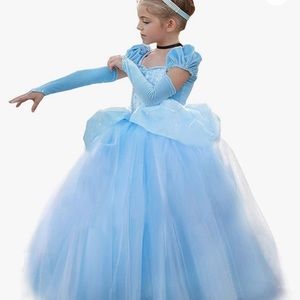 Cinderella costume